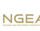 ngeao new logo